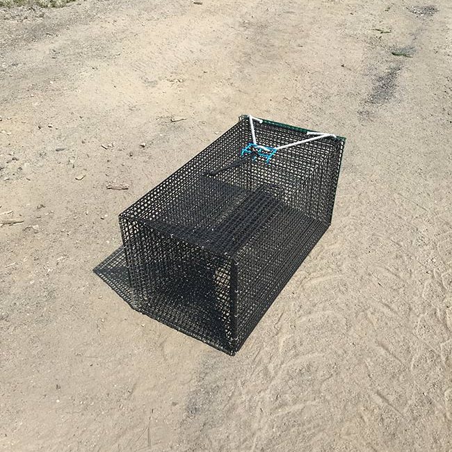 Eel Trap ALL Stainless Steel - sporting goods - by owner - sale